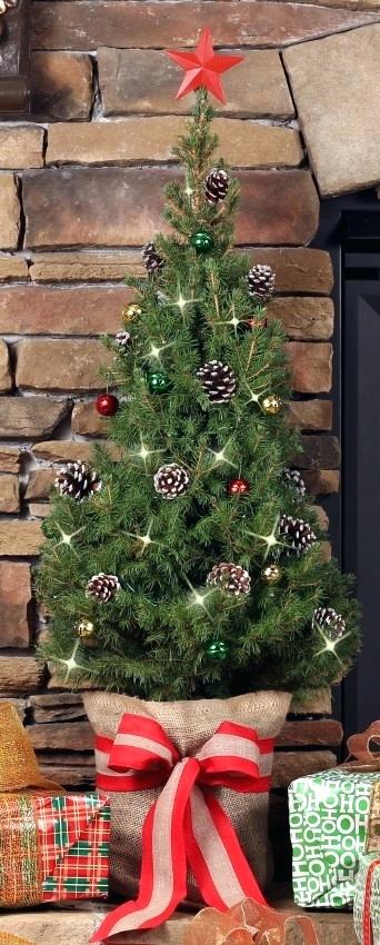 Tabletop Christmas Tree Delivered Boston