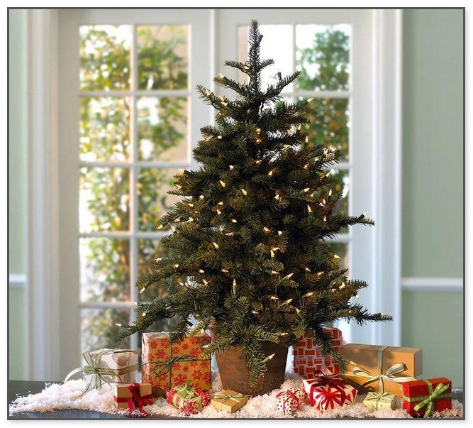 Fraser Fir Christmas Tree - Premium, Fresh Cut