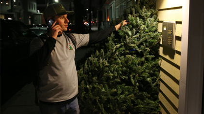 THE BOSTON GLOBE -                       That perfect tree is just a few clicks away