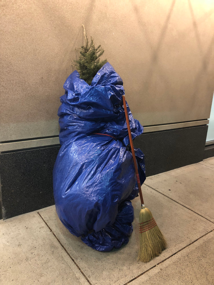 Mess-Free Christmas Tree Recycling Boston
